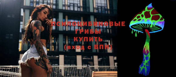 дурь Сатка