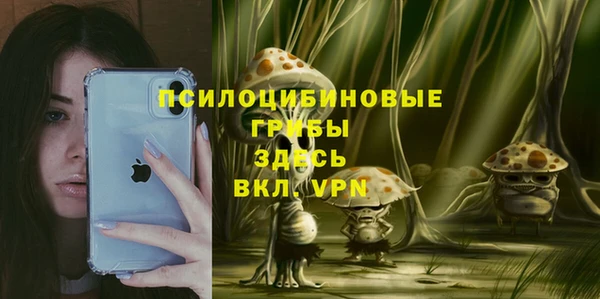 ALPHA PVP Алексеевка