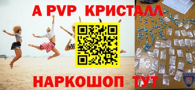 гашик Кингисепп