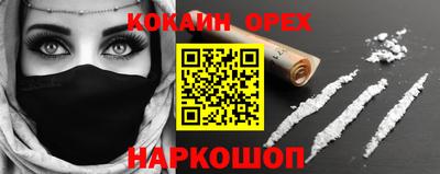 гашик Кингисепп
