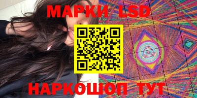 гашик Кингисепп