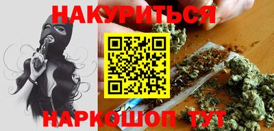 гашик Кингисепп
