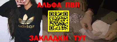 гашик Кингисепп