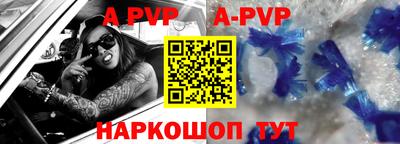 гашик Кингисепп