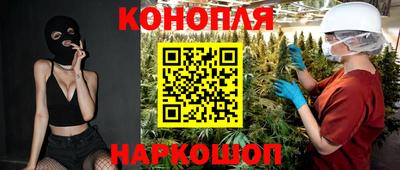 гашик Кингисепп