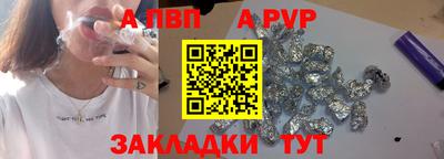 гашик Кингисепп