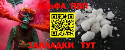 гашик Кингисепп