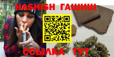 гашик Кингисепп