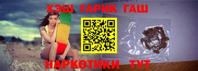 гашик Кингисепп