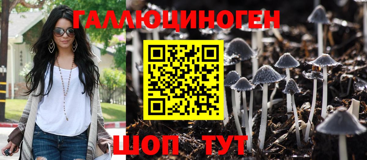 Галлюциногенные грибы GOLDEN TEACHER Кулебаки